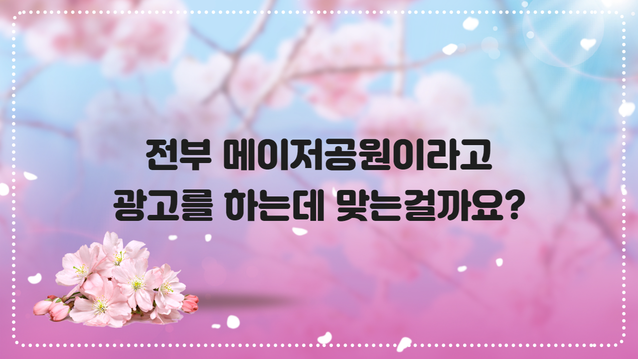 전부 메이저공원이라고 광고를 하는데 맞는걸까요